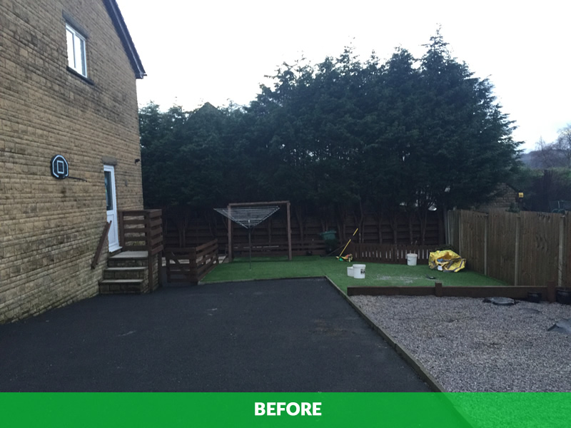 conifer reduction in blackburn - before image