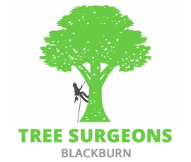 tree surgeons blackburn logo
